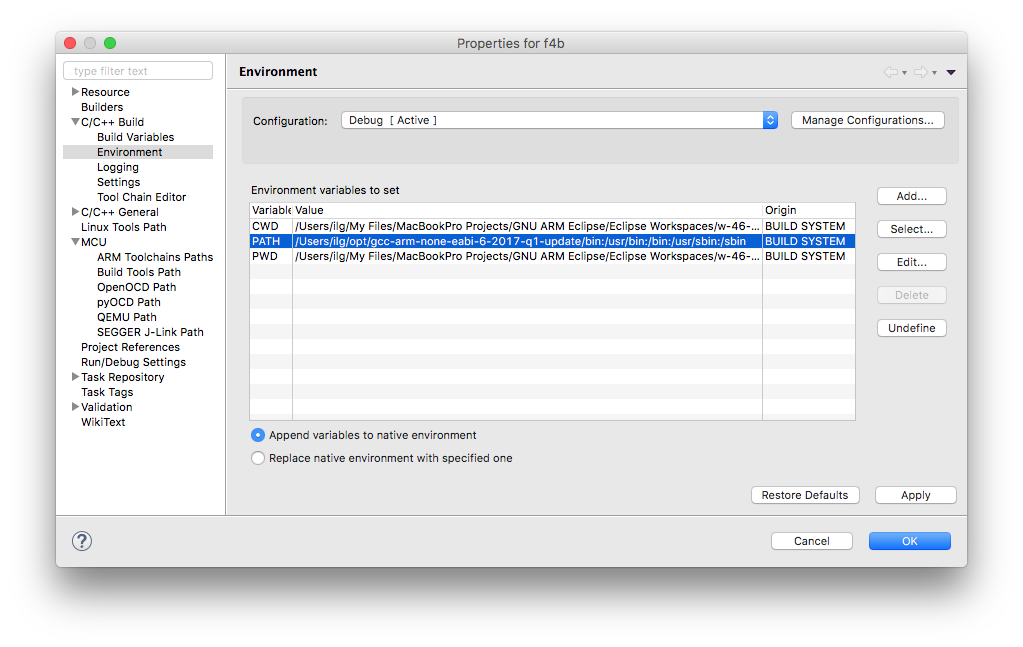 Toolchain path in project environment